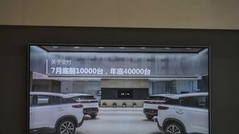 坐汽车能带多少货